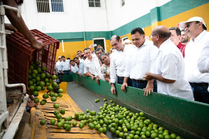 Recupera rentabilidad Juguera de Akil.