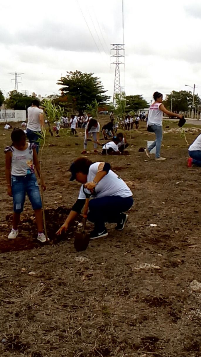 Arranca la Cruzada Forestal 2017, la comuna cerca de plantar 60 mil nuevos árboles en Mérida