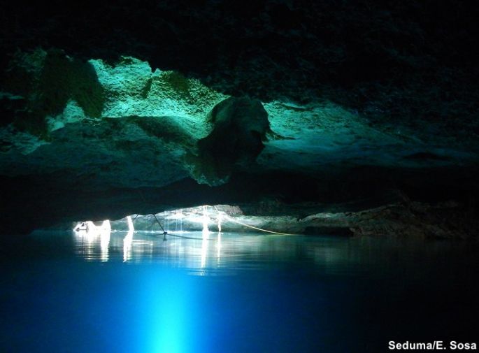 Los cenotes de Mérida y sus municipios.