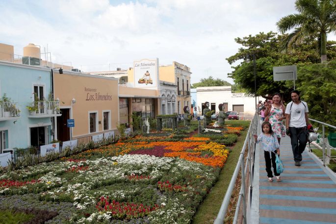 Más de 30 mil visitas en la primera semana del camino de flores "Encuentro con las ánimas"