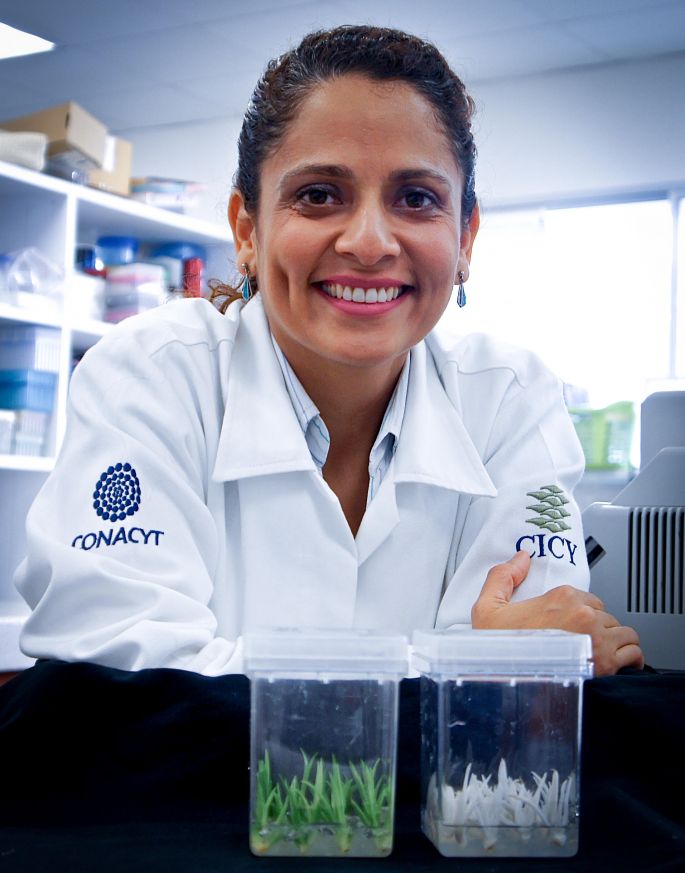Investigadora del CICY obtiene el premio Marcos Moshinsky 2017 en Ciencias Químico-Biologicas