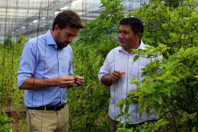 Mujeres y hombres, responsables del crecimiento industrial en Yucatán: Pablo Gamboa Miner 