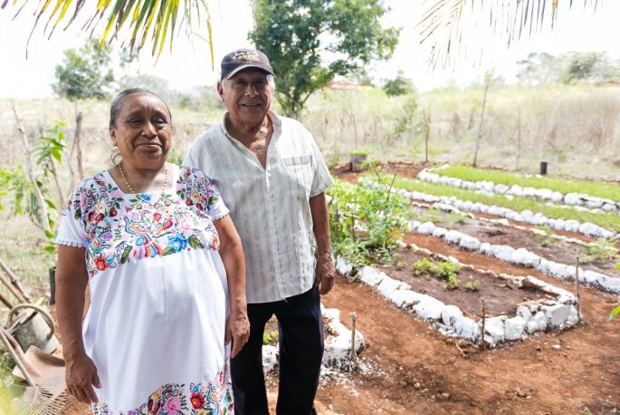 Programas sociales, con buenos resultados para familias yucatecas