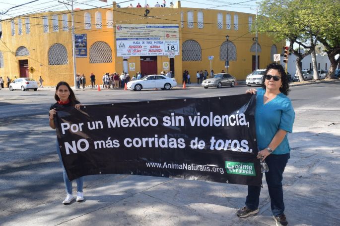 Protestan en la Plaza de Toros en contra del maltrato animal
