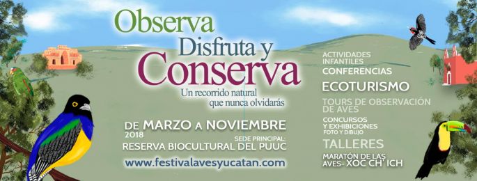 El CICY lanza programa del XVII Festival de las Aves de Yucatán “Tho”