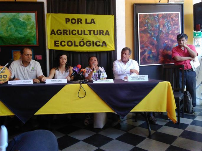 Piden ONG’s compromiso de candidatos con la agricultura orgánica y la biodiversidad