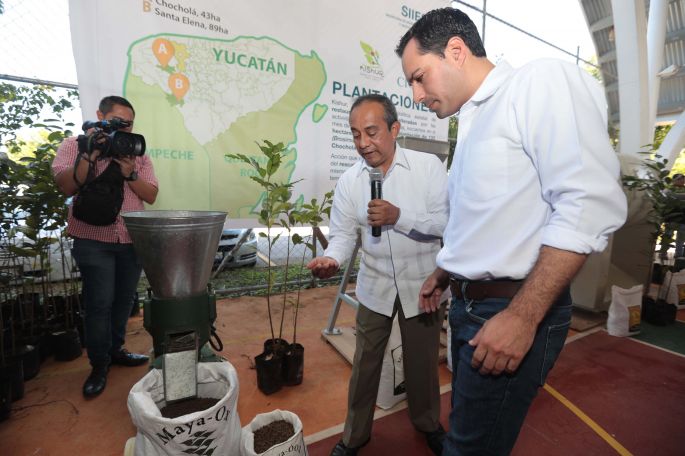 Posicionaremos a Yucatán como referente de la agroindustria sustentable: Vila Dosal