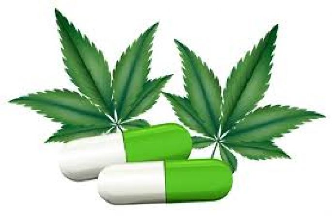 La legalización de las drogas en México, parecía broma, puede hacerse realidad