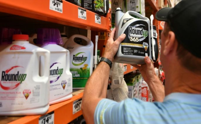 Monsanto, condenado a pagar 81 millones de dólares en juicio por su herbicida Roundup