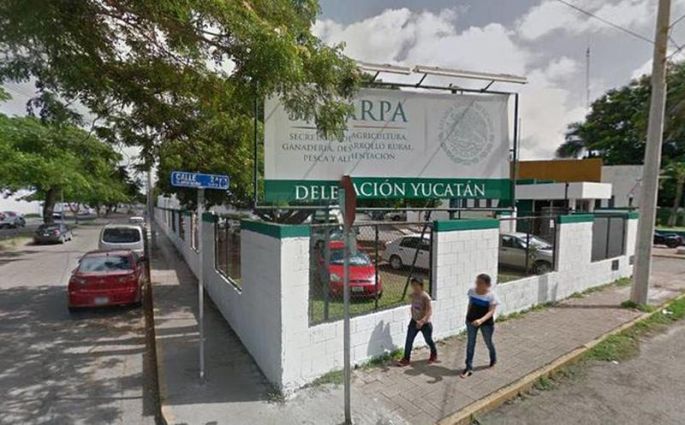 25 funcionarios de primer nivel del Gobierno Federal en Yucatán serán cesados a partir de este 30 de junio