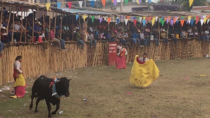 Afirman que ya es tiempo de pensar en desaparecer las corridas de toros