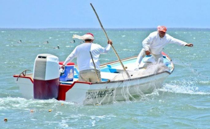 Un total de 10 mil 487 pescadores yucatecos quedaron incluidos en el censo