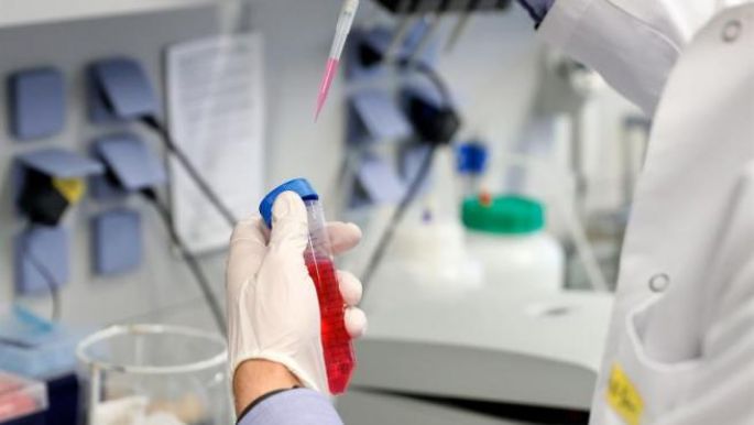 Costa Rica comenzará a probar una vacuna para la Covid en humanos hecha a base de plasma de caballo