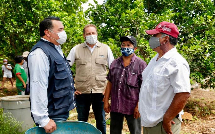  “Arma tu caja de campo” y “Cocina con el chef”, programas que benefician a productores y consumidores meridanos