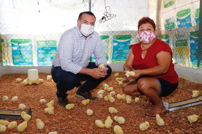 El Ayuntamiento de Mérida mantiene el apoyo solidario con el sector rural del municipio ante la pandemia del COVID-19