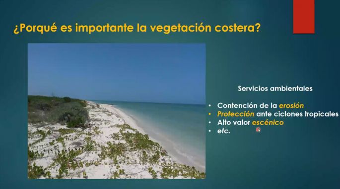 Incremento de especies invasoras afecta costa yucateca  