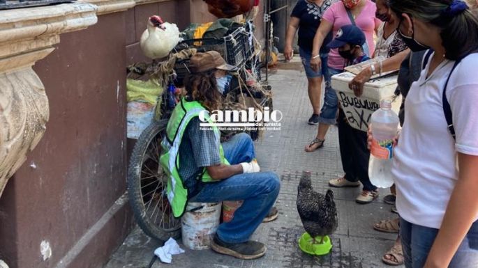 De nuevo el Profeta en la Plaza Grande