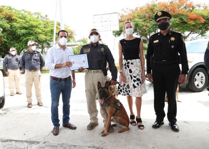 Fortalecen la Unidad K-9 de la SSP con nuevos elementos caninos, vehículos y capacitación