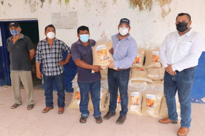 Distribuyen cerca de 120 toneladas de semilla de maíz para autoconsumo en respaldo a las familias que más lo necesitan
