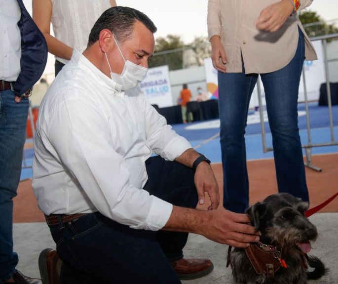 Mérida mantiene el avance hacia una sociedad más inclusiva, sostenible y con acciones para el bienestar animal