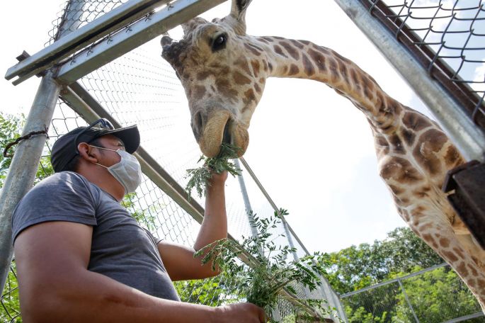 Guardanimales una vida profesando amor a los residentes de los zoológicos