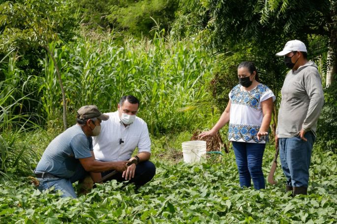 El Ayuntamiento de Mérida apoya con firmeza los proyectos productivos de sus comisarías