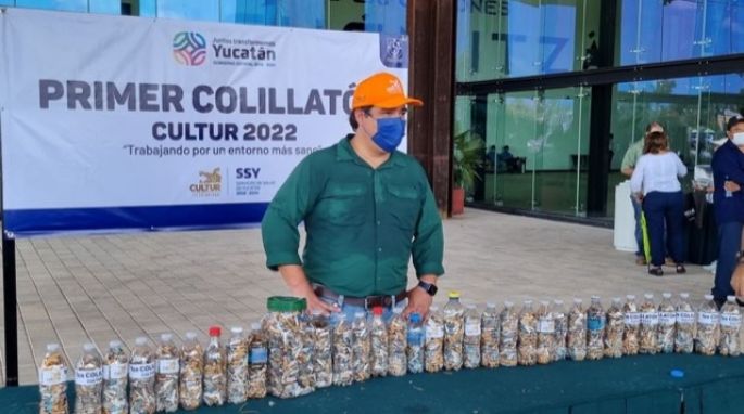 Cultur realiza su primer “Colillatón” y rompe récord al recolectar 12,900 colillas en una jornada