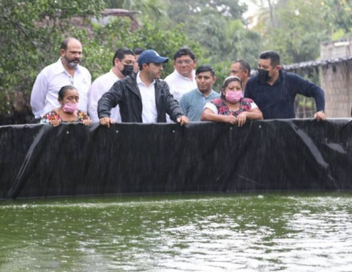Con apoyo del Gobernador Mauricio Vila, proyectos de acuacultura para producción de tilapia se consolidan en el oriente de Yucatán