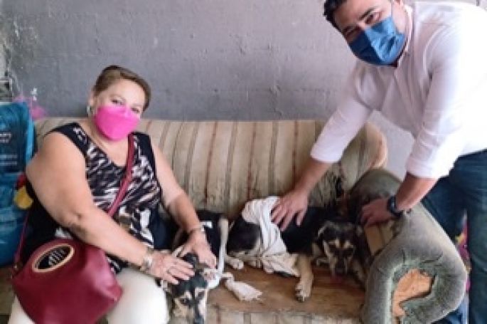 Pareja de perritos sagrados de Kukulkán ya tienen hogar digno en Mérida