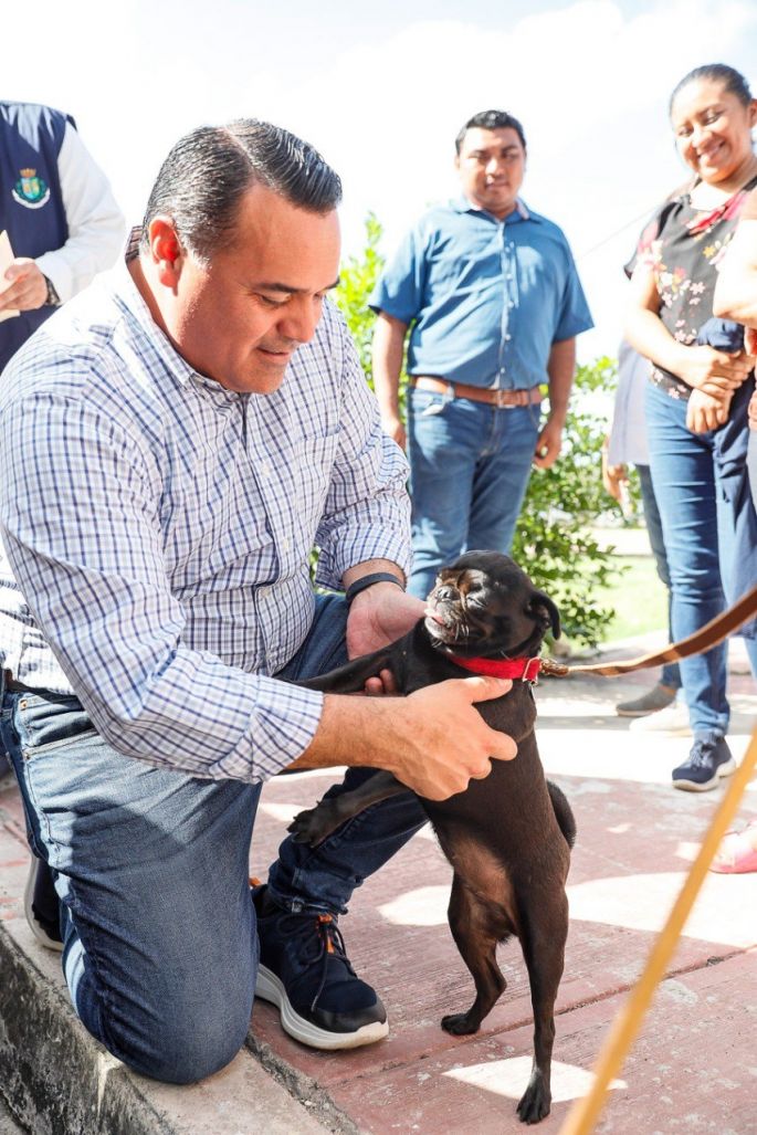 El Ayuntamiento de Mérida ofrece “Esperando por ti” una app para fomentar la adopción canina y felina