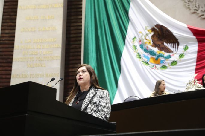 Las diputadas federales priistas buscan protección de la intimidad