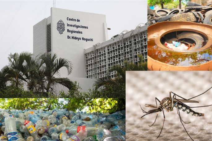 Especialista de la UADY recomienda tomar precauciones contra el dengue