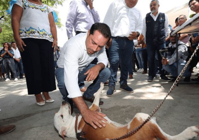 Presenta el Gobernador Mauricio Vila Dosal el proyecto Peek’ Friendly