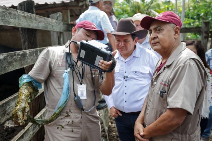 Yucatán fortalece su ganadería con apoyo técnico y genética de alto nivel