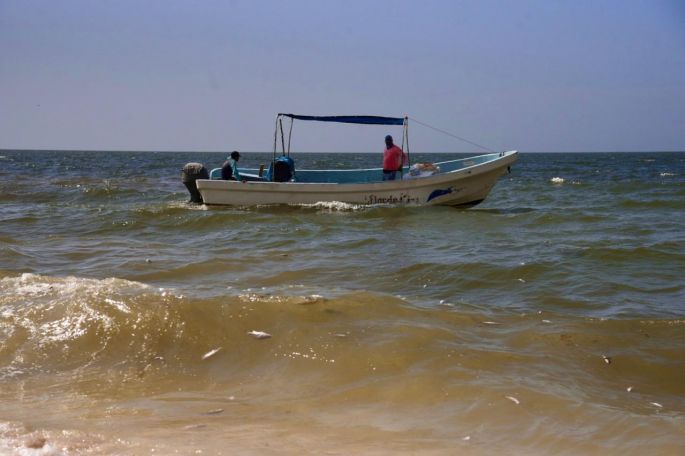 Imágenes satelitales revelan que el manchón se encuentra entre Chuburná y Sisal 