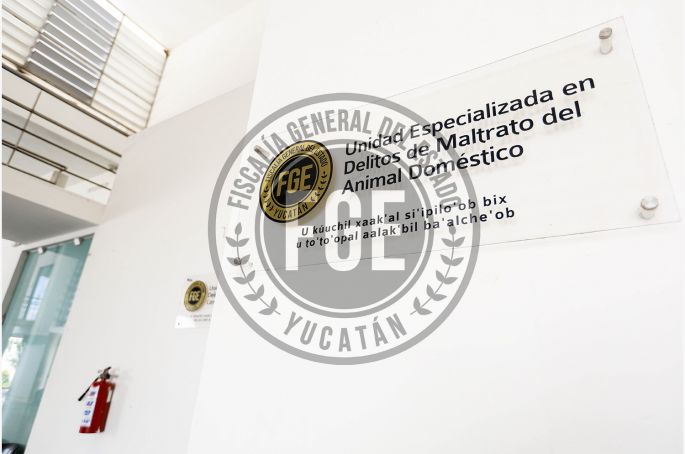 Empleado de estética canina a proceso, por crueldad animal