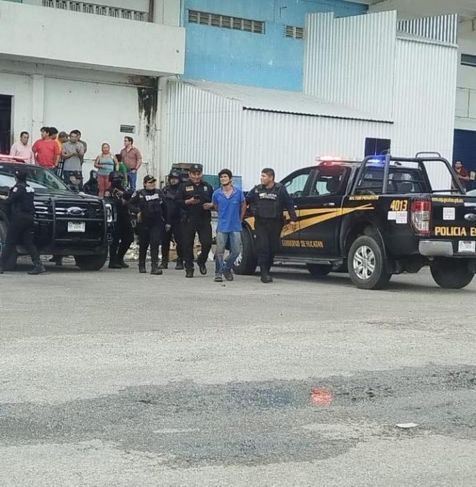 Envenena a 18 perritos en la Central de abastos de Mérida, ya está detenido 