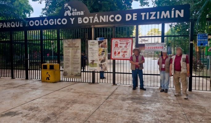 Alcalde de Tizimín asegura que el zoológico La Reina está por reabrir, aunque falta veredicto de Profepa