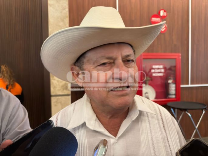 Morena rechaza hablar de fracaso tras caída del empréstito y busca reponer el proceso