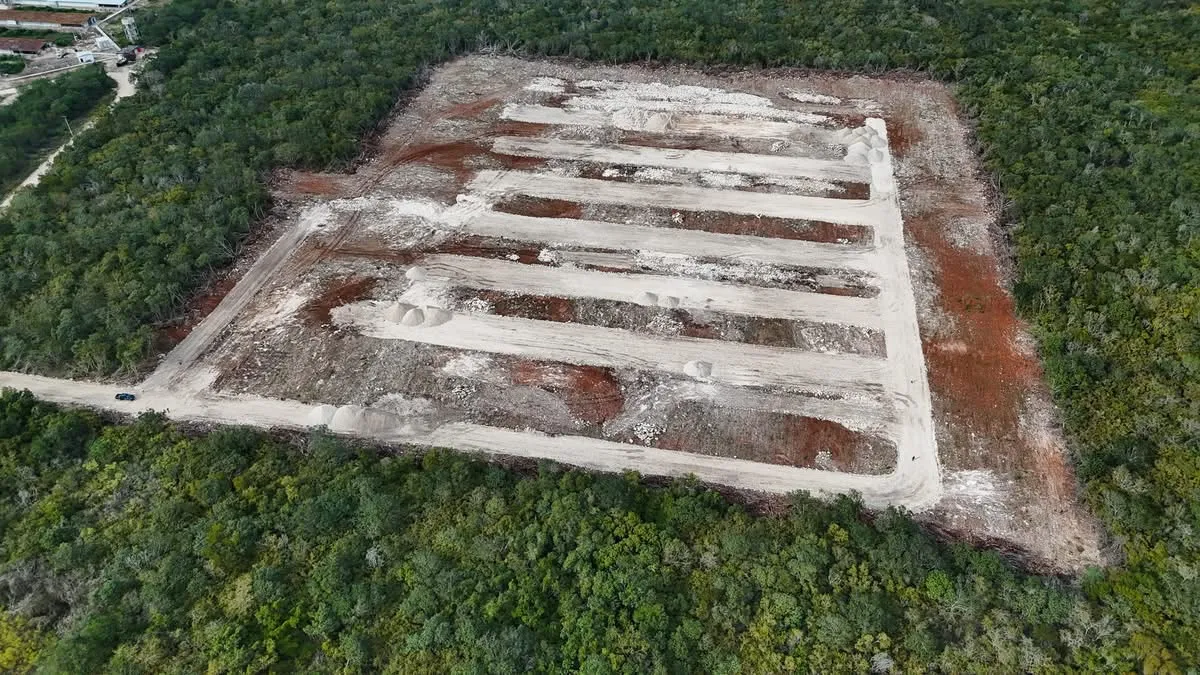 Profepa clausura obras en granja Crío de Hoctún, Yucatán, por cambio ilegal de uso de suelo en terrenos forestales