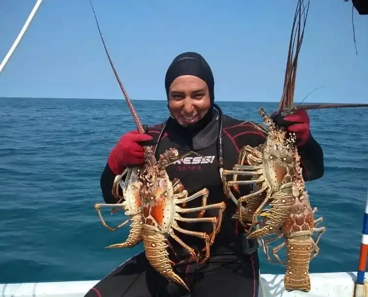 Inicia temporada de captura de langosta en Yucatán con llamado a la pesca responsable